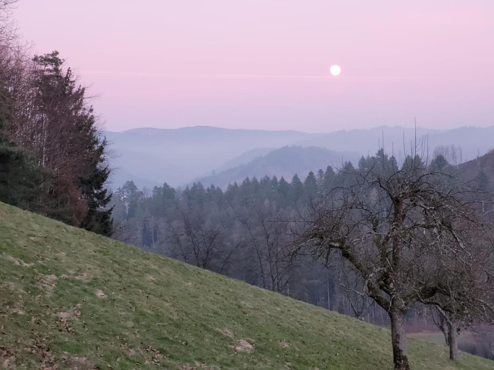 Am Boulevard Gengenbach Esterno foto